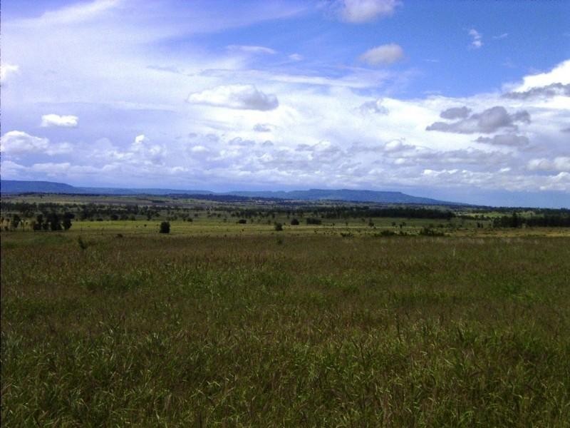 6893 Oralla Road, Injune QLD 4454