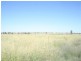 Lot 11 Richardsons Lane, Roma QLD 4455