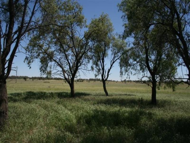 Lot 1 Burtons Road, Roma QLD 4455