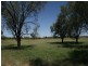 Lot 2 Burtons Road, Roma QLD 4455