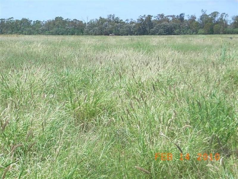 Lot 3 Rasalie Road, Wallumbilla North QLD 4428