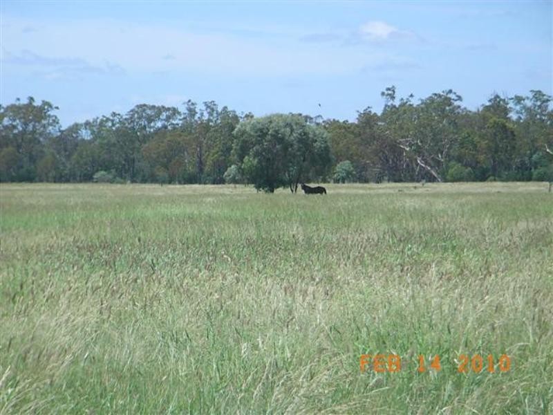 Lot 3 Rasalie Road, Wallumbilla North QLD 4428
