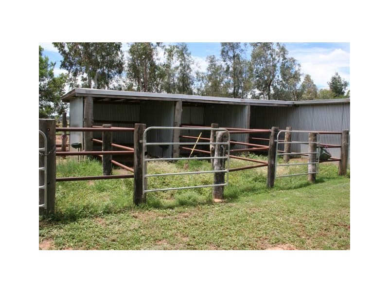 540 Daisybank Road, Roma QLD 4455