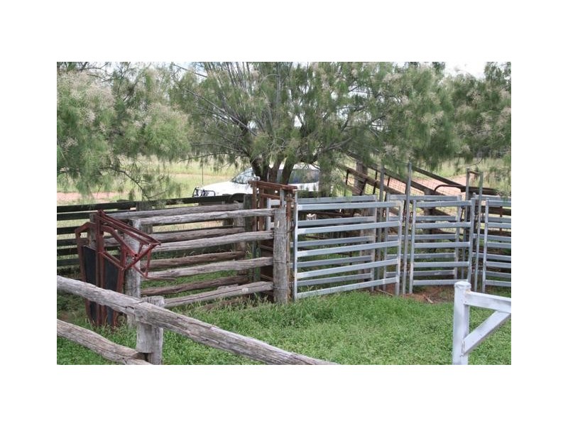 540 Daisybank Road, Roma QLD 4455