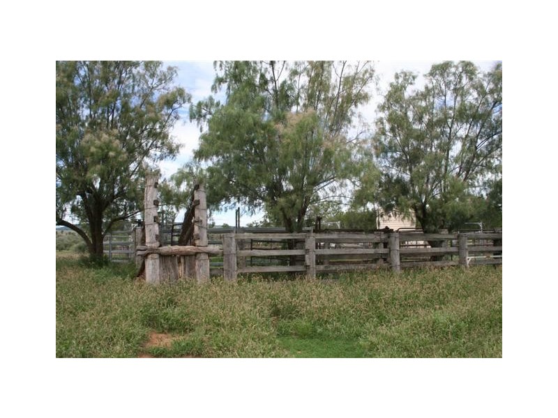 540 Daisybank Road, Roma QLD 4455