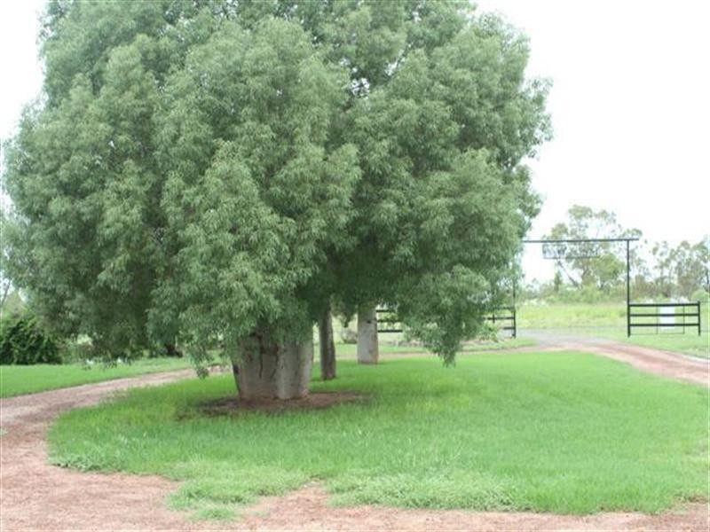 0 Grapeview, Roma QLD 4455