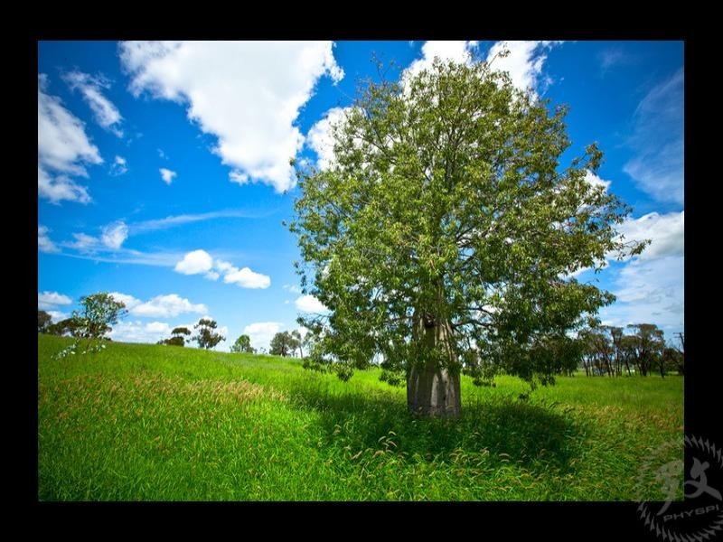 lot 1 Burtons Road, Roma QLD 4455