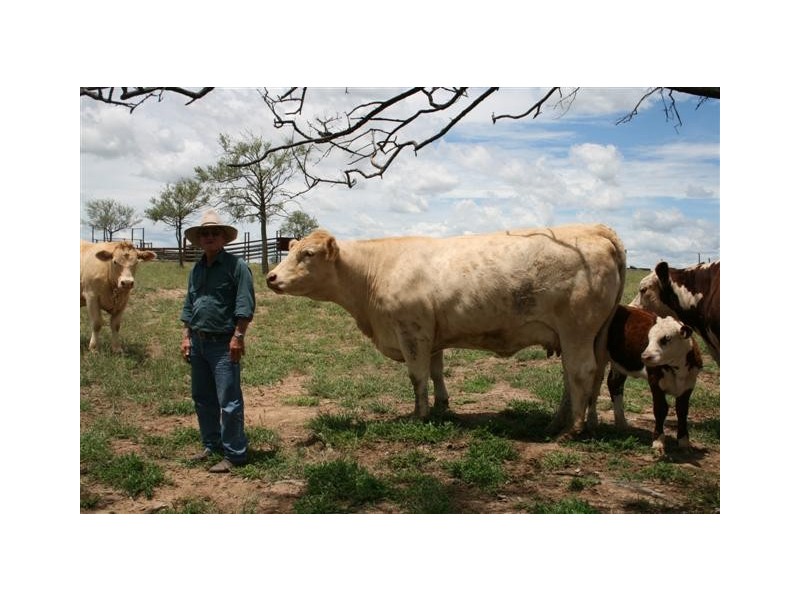 0 Carnarvon Developmental Road, Roma QLD 4455