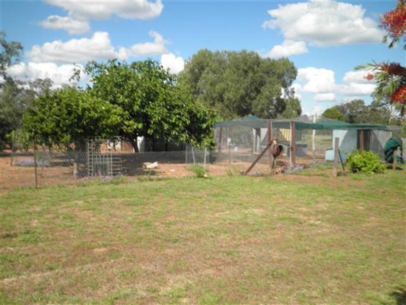 941 Orallo Road, Roma QLD 4455