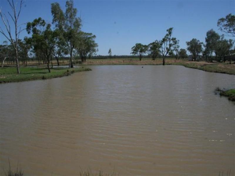 1 Araby, Roma QLD 4455