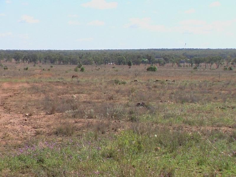 1 Araby, Roma QLD 4455