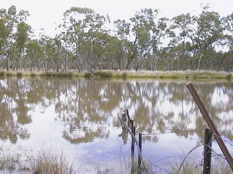 1 Araby, Roma QLD 4455