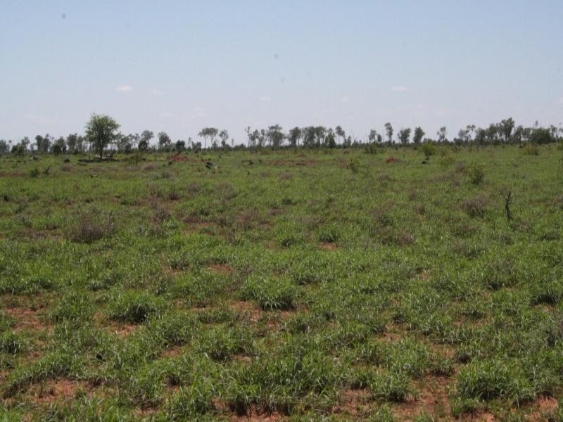 1 Araby, Roma QLD 4455