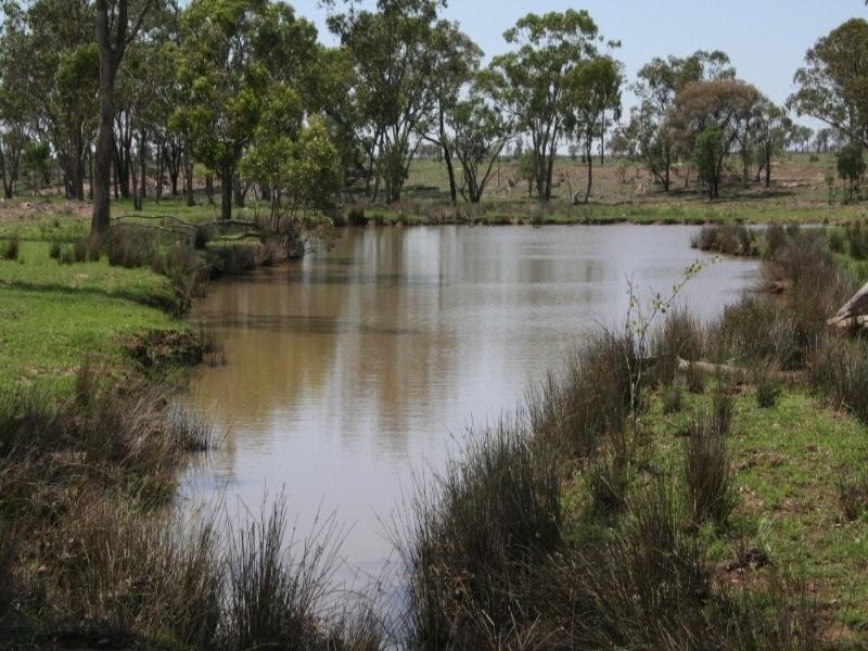 1 Araby, Roma QLD 4455