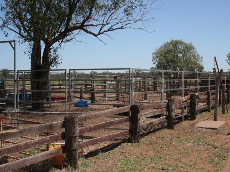 1 Araby, Roma QLD 4455