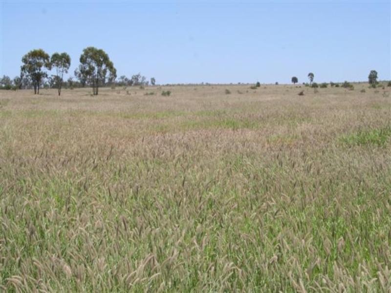 1 Quibet, Roma QLD 4455