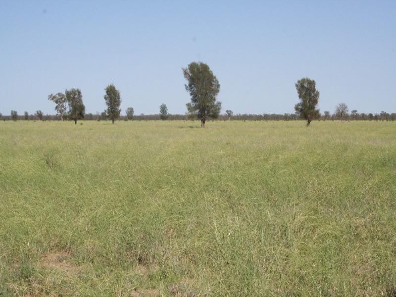 1 Quibet, Roma QLD 4455