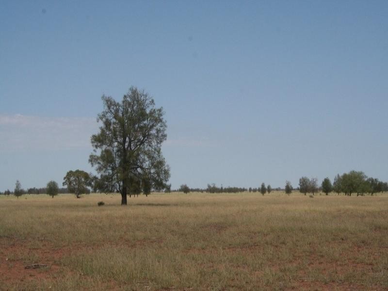 1 Quibet, Roma QLD 4455