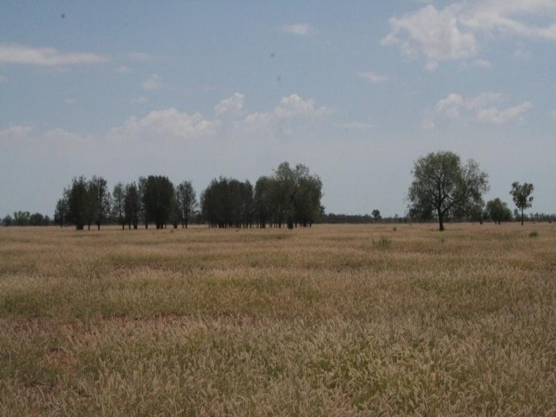 1 Quibet, Roma QLD 4455