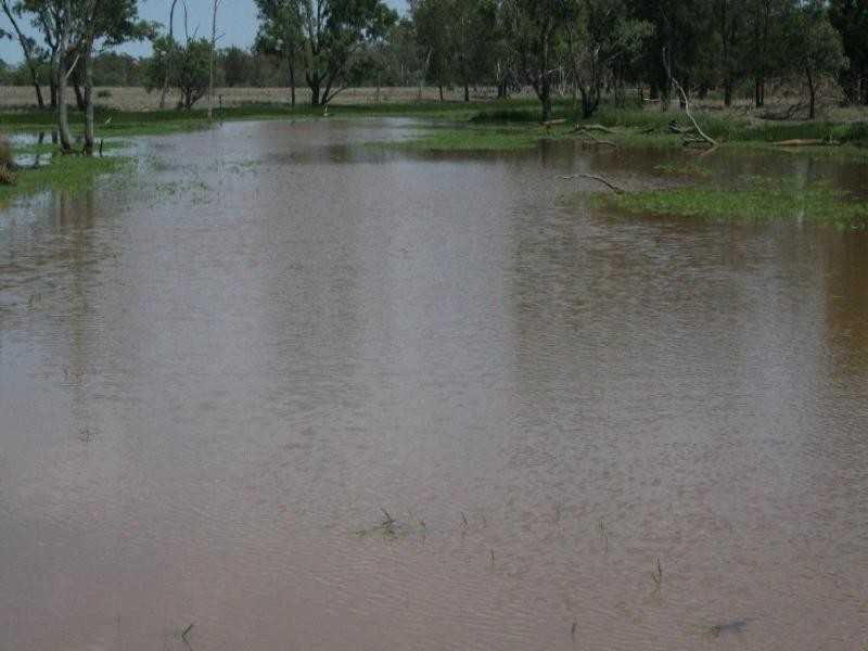 1 Quibet, Roma QLD 4455