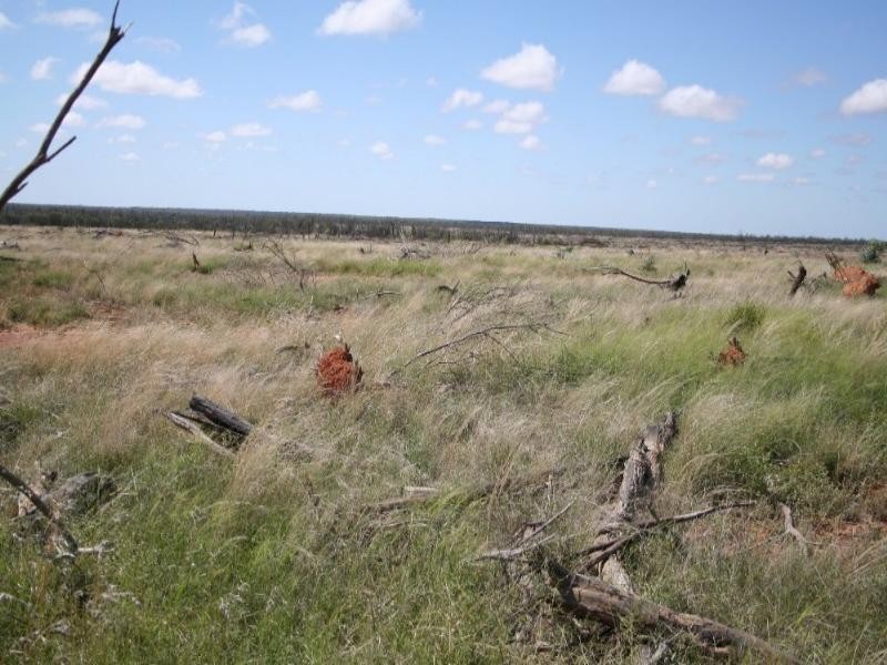 1 Abbieglassie Bargunyah Road, Mitchell QLD 4465