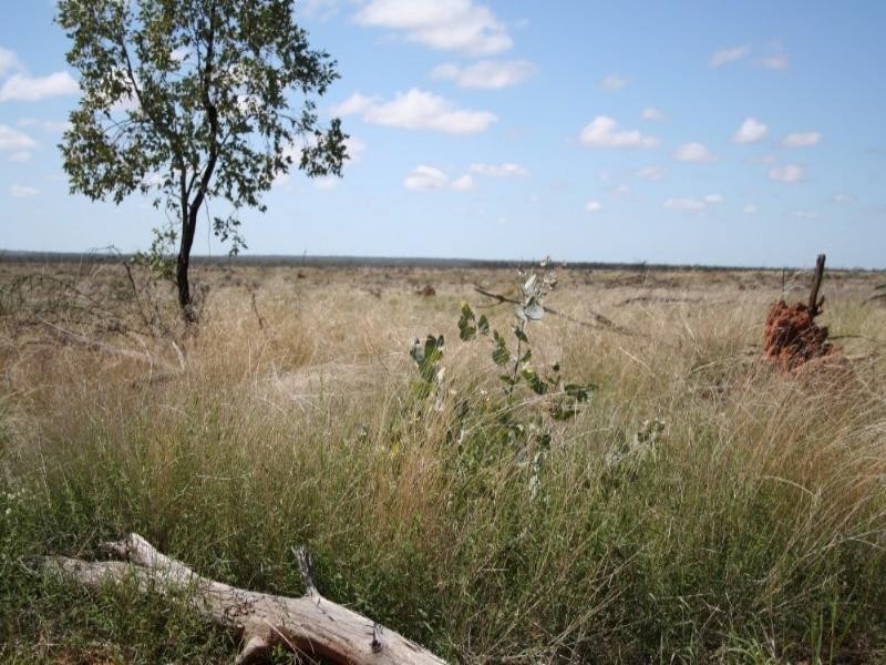 1 Abbieglassie Bargunyah Road, Mitchell QLD 4465