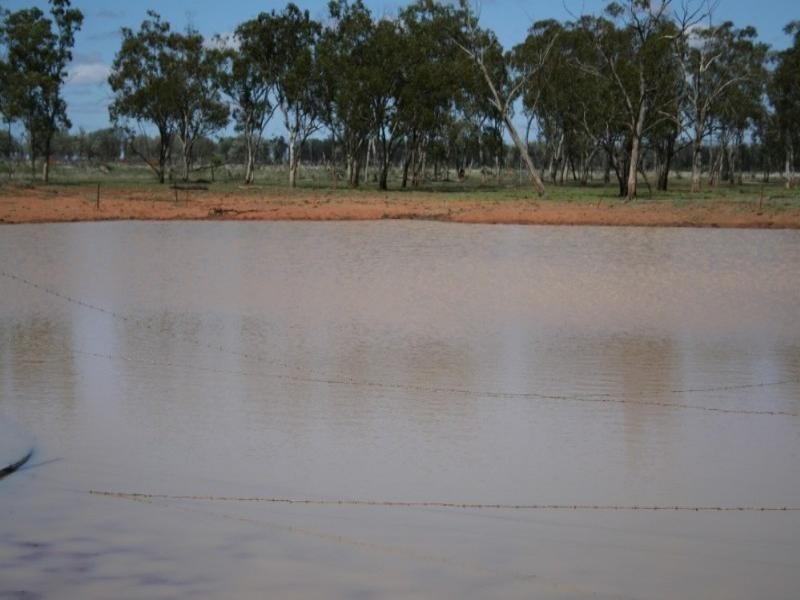 1 Abbieglassie Bargunyah Road, Mitchell QLD 4465