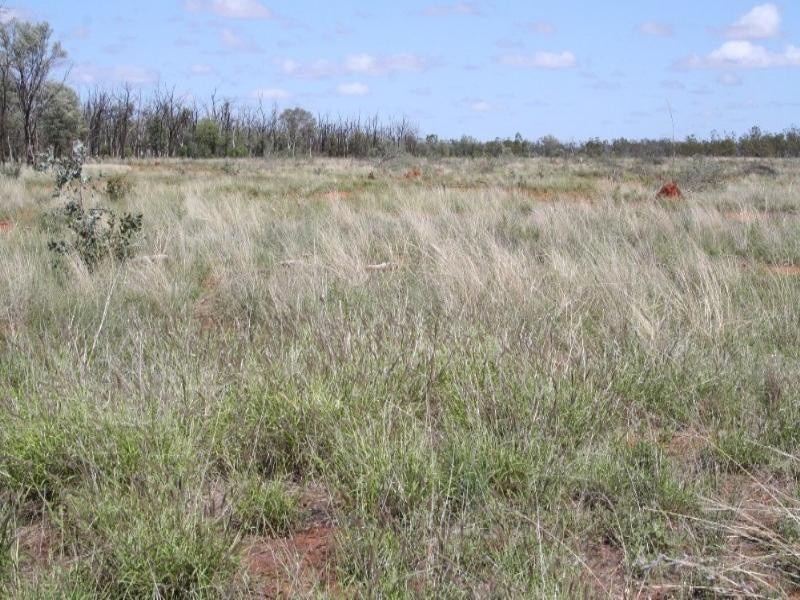 1 Abbieglassie Bargunyah Road, Mitchell QLD 4465