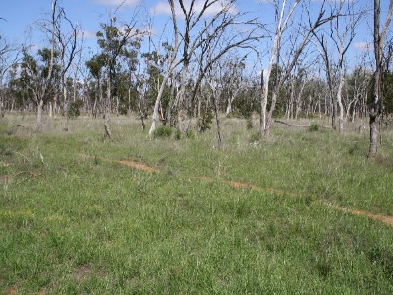 1 Abbieglassie Bargunyah Road, Mitchell QLD 4465