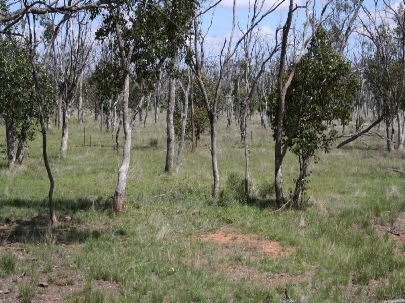 1 Abbieglassie Bargunyah Road, Mitchell QLD 4465