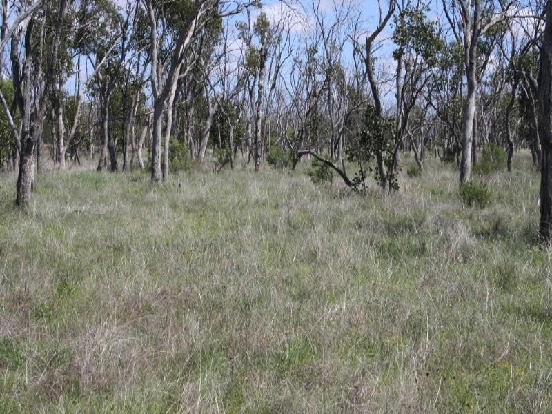 1 Abbieglassie Bargunyah Road, Mitchell QLD 4465