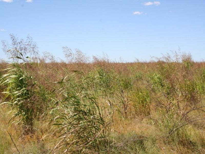 Lot 15 Southern Road, Roma QLD 4455