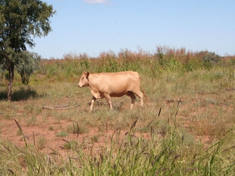 Lot 15 Southern Road, Roma QLD 4455