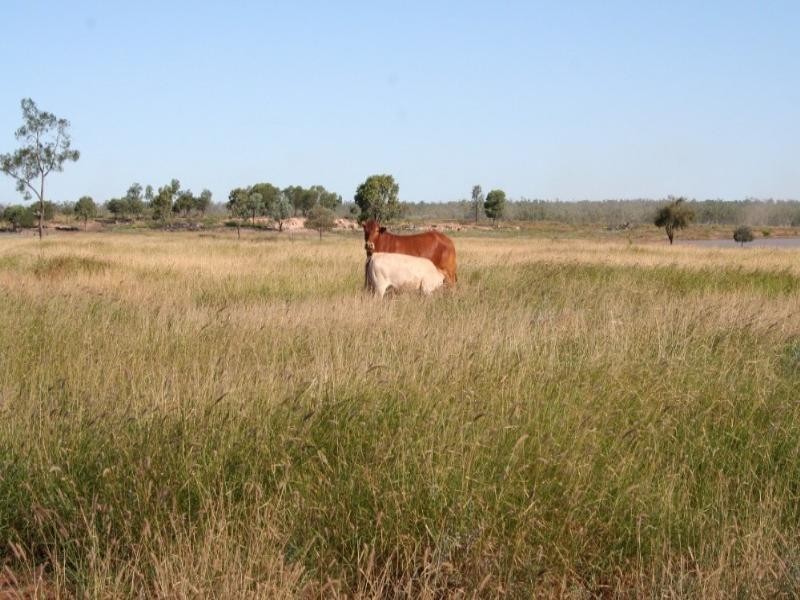 Lot 15 Southern Road, Roma QLD 4455
