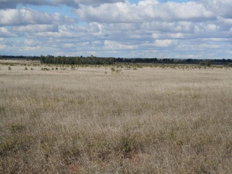 lot 3 Seventeen Mile Lane, Roma QLD 4455