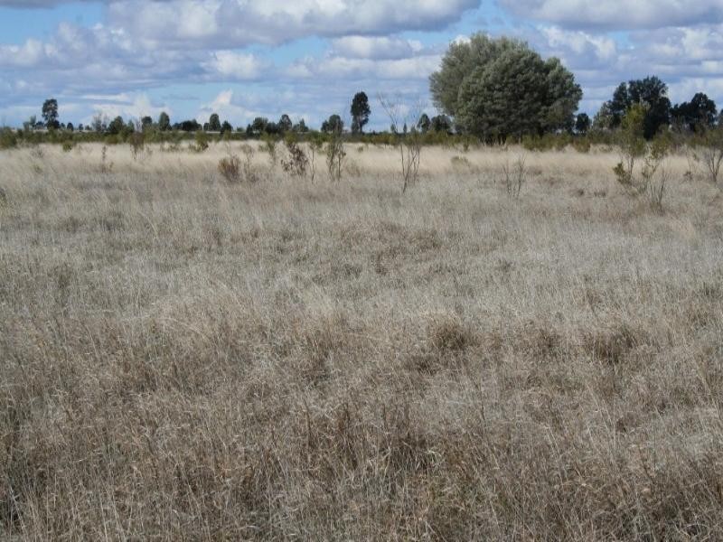 lot 3 Seventeen Mile Lane, Roma QLD 4455