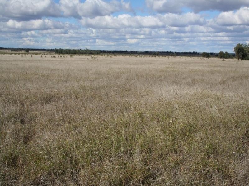 lot 3 Seventeen Mile Lane, Roma QLD 4455