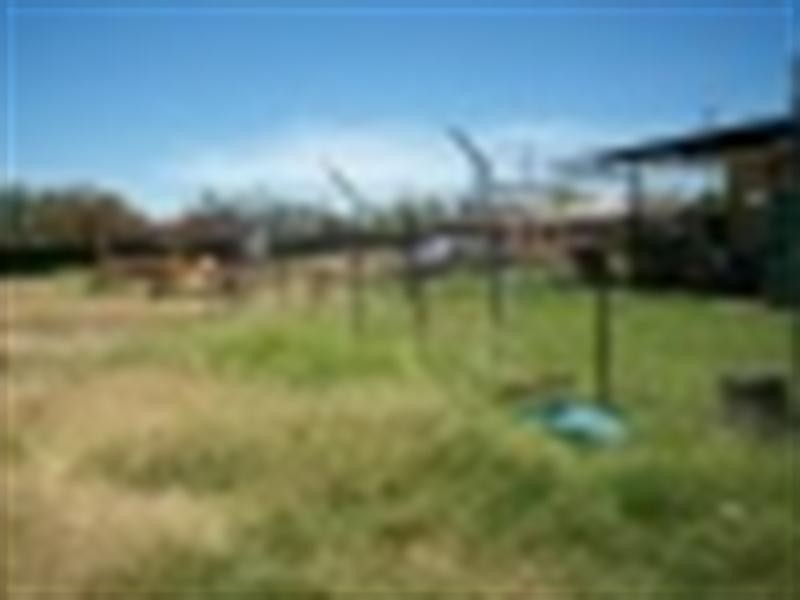 8-10 Cordelia Street, Surat QLD 4417