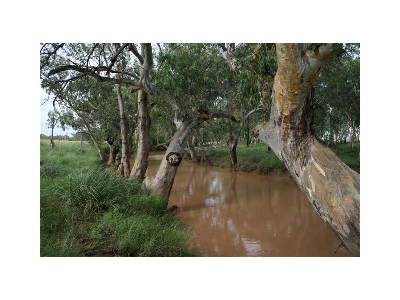 Lot 4 Mitchell Bollon Road, Roma QLD 4455