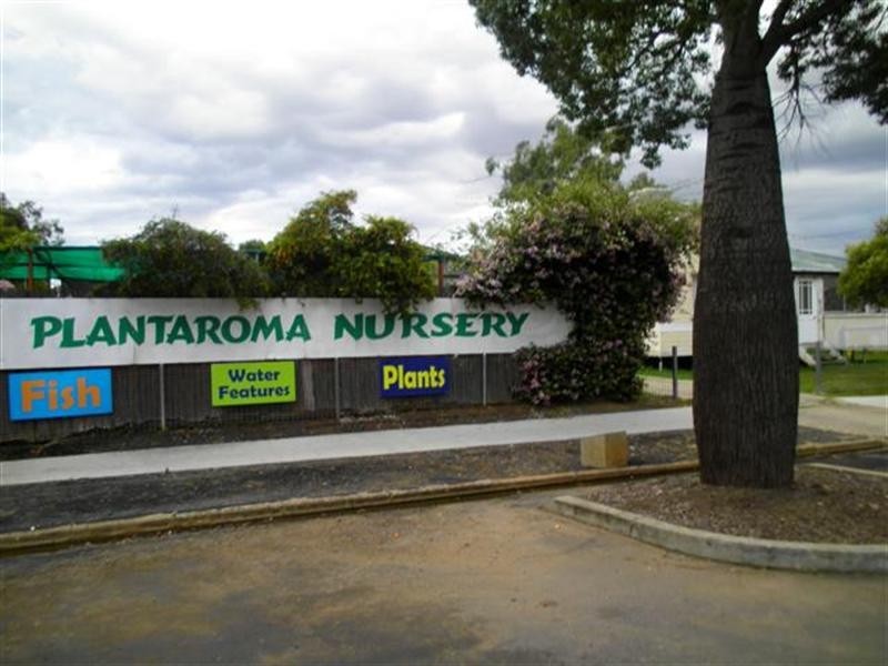 0 Plantaroma Nursery, Roma QLD 4455