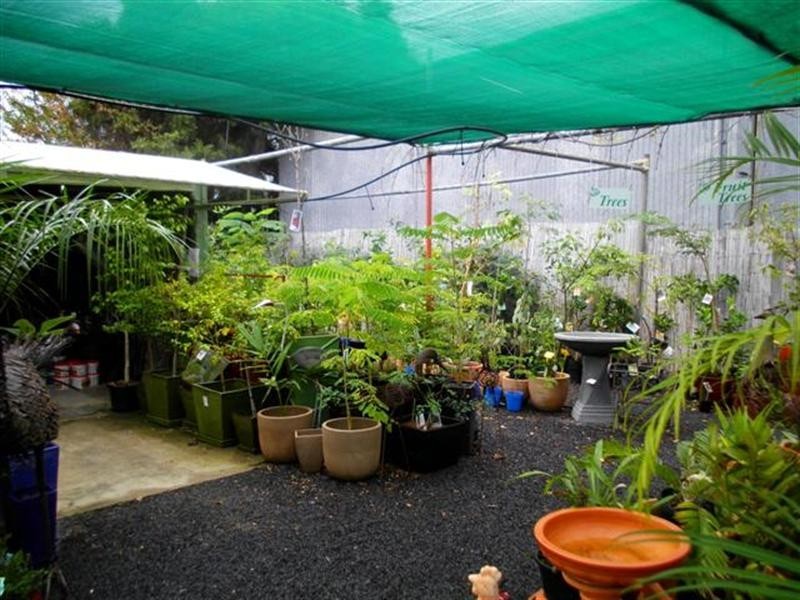 0 Plantaroma Nursery, Roma QLD 4455