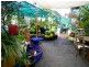 0 Plantaroma Nursery, Roma QLD 4455