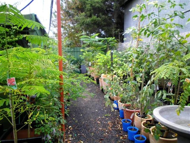 0 Plantaroma Nursery, Roma QLD 4455