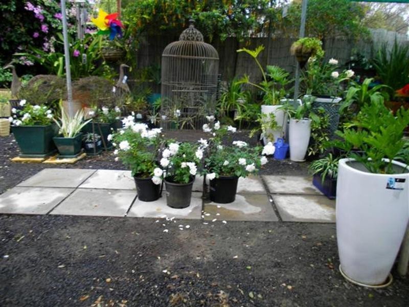 0 Plantaroma Nursery, Roma QLD 4455