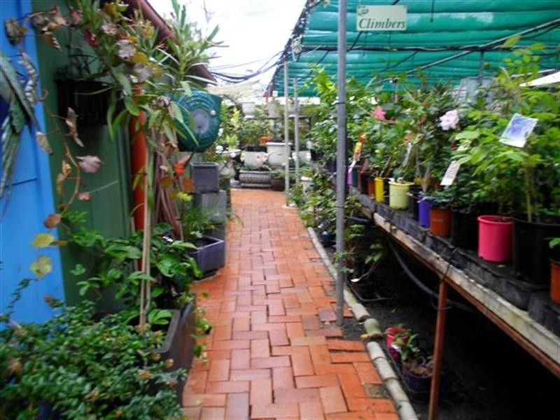 0 Plantaroma Nursery, Roma QLD 4455