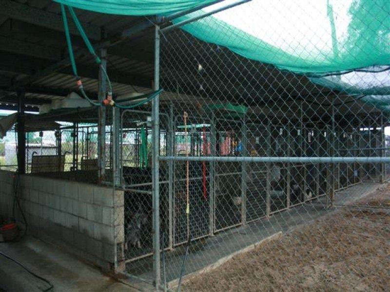 1731 Blue Hills Road, Roma QLD 4455