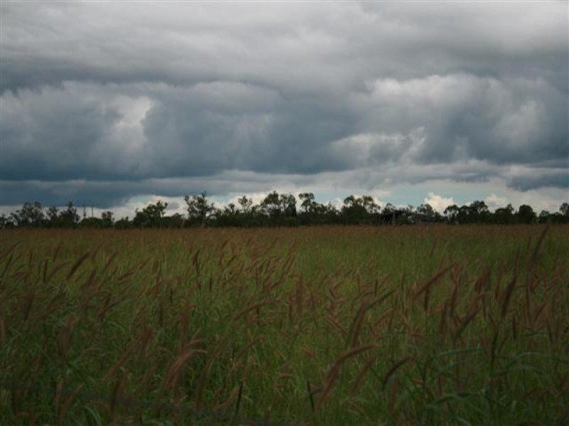 1731 Blue Hills Road, Roma QLD 4455