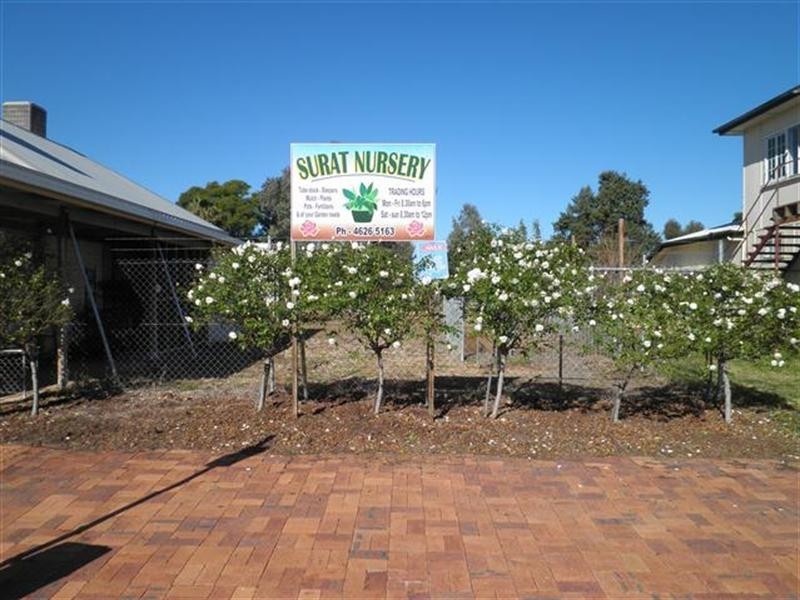 78-80 Burrowes and 2 Charlotte Sts, Surat QLD 4417