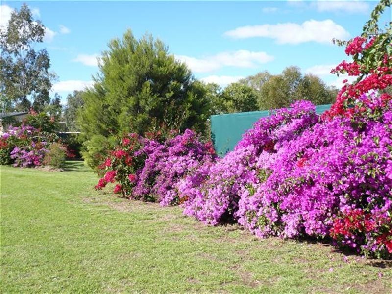 3 Webb Court, Roma QLD 4455