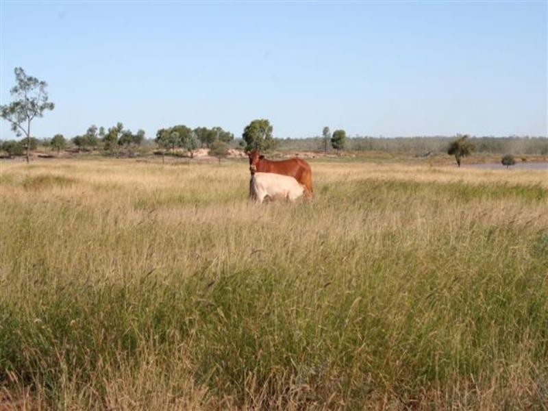 0 Budgeri Road, Mitchell QLD 4465